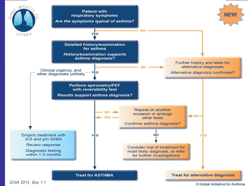 GINA 2014, Box 1-1 © Global Initiative for Asthma NEW!